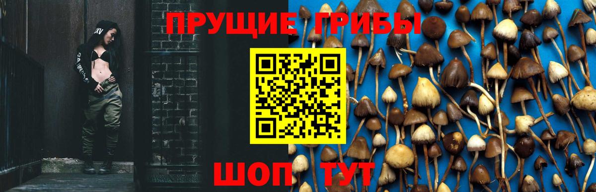 Псилоцибиновые грибы GOLDEN TEACHER  Галлюциногенные грибы мухоморы  Пермь  Вход с VPN 